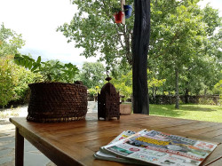 Detalle mesa de jardín